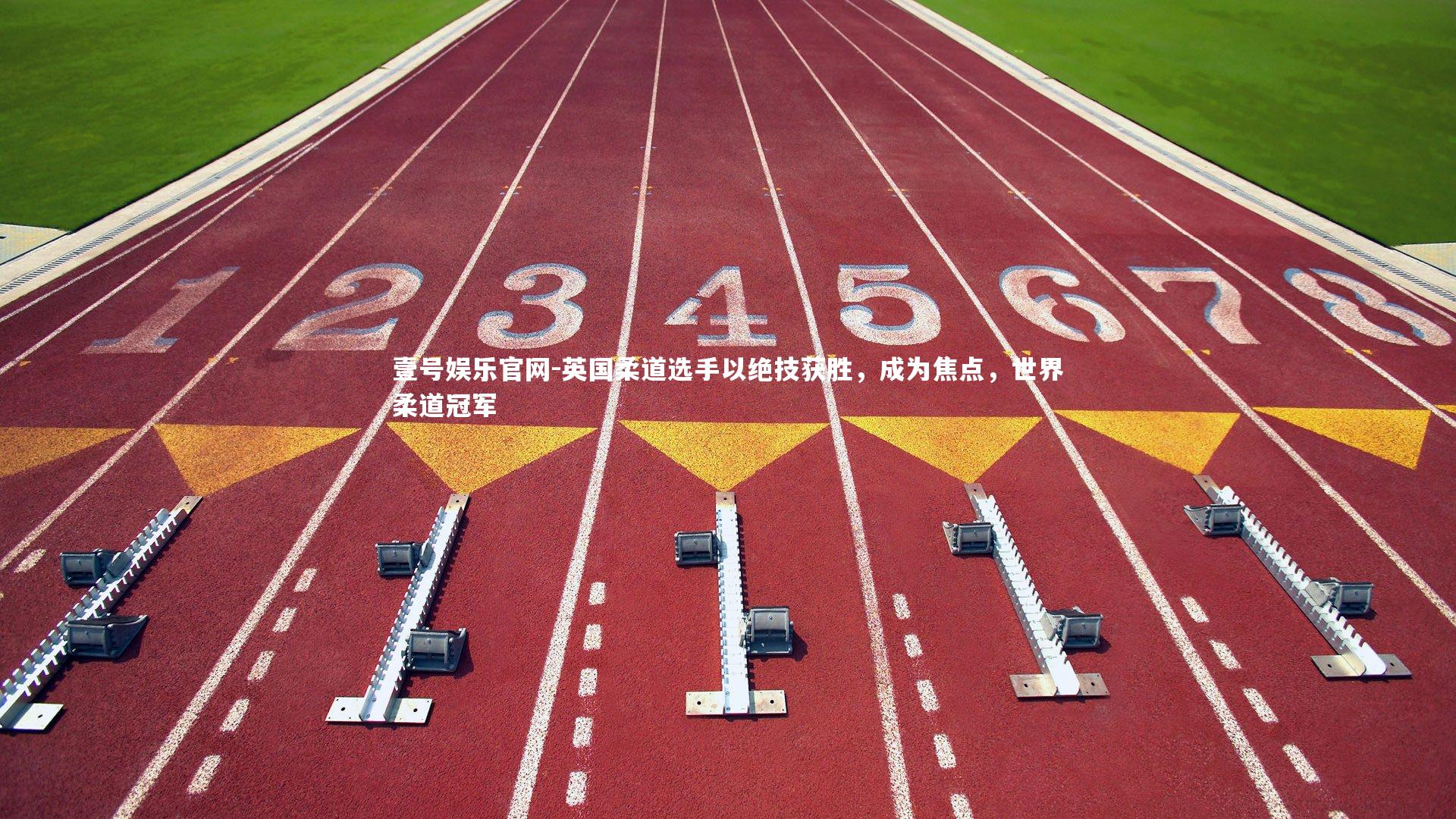 英国柔道选手以绝技获胜，成为焦点，世界柔道冠军