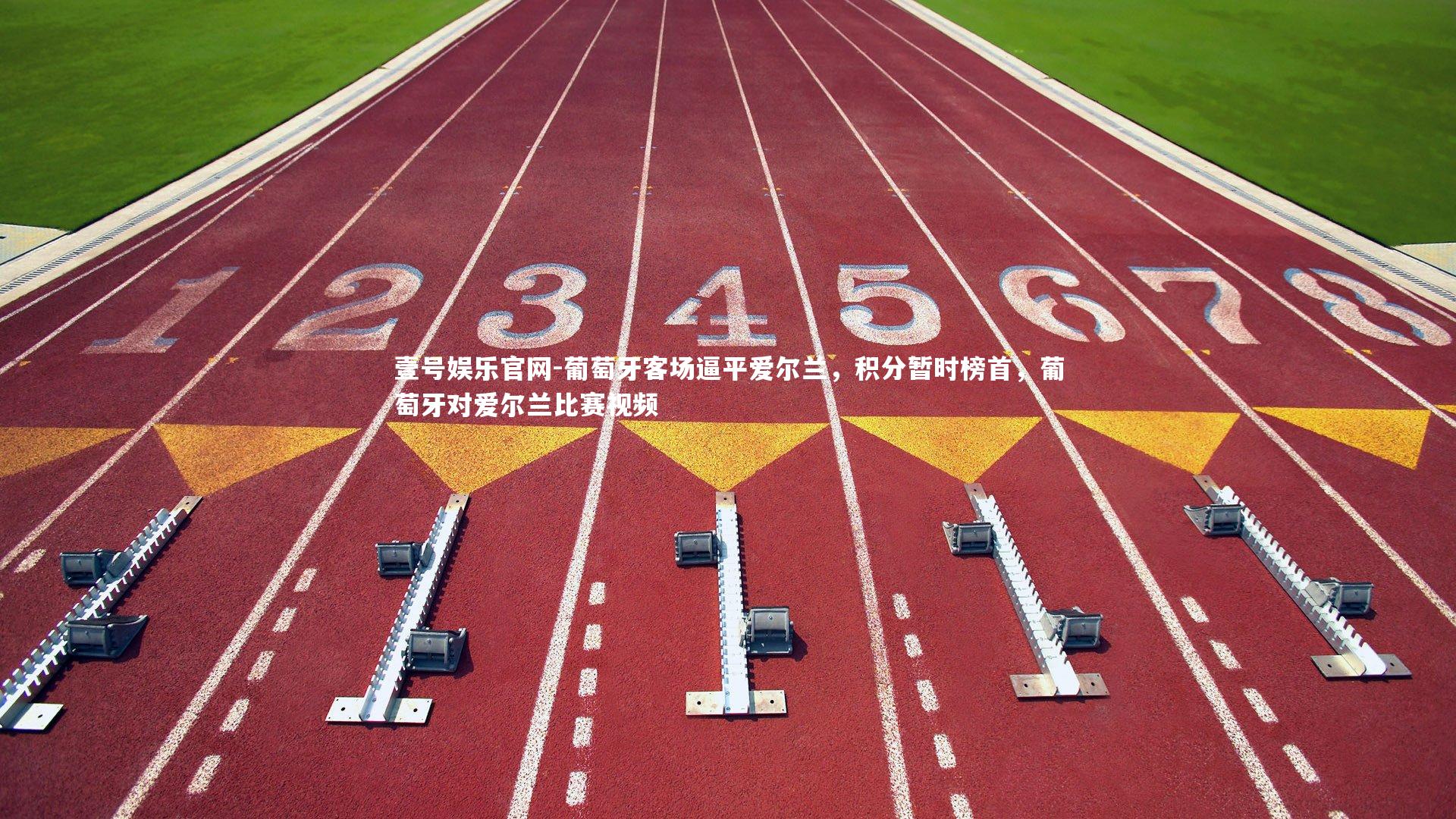 葡萄牙客场逼平爱尔兰,积分暂时榜首,葡萄牙对爱尔兰比赛视频